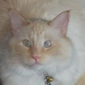 Meet your Posher, Cindy